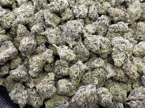 Pink Pineapple THCa Flower Sativa