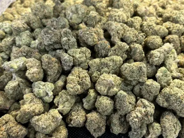 Gas Face THCa Flower Indica