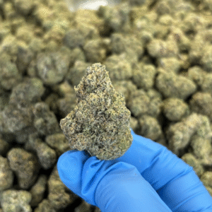 Gas Face THCa Flower Indica
