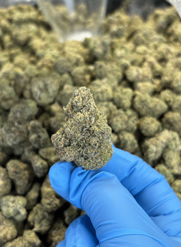 Gas Face THCa Flower Indica