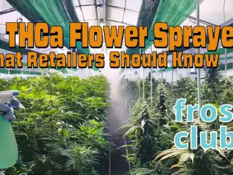 Is THCa Flower Sprayed? Safety & Compliance for Retailers @ FrostyClub.com - Best THCa Wholesale