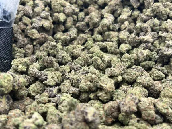 Money Maker Smalls THCa Flower Indica