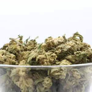 Bomb Pop THCa Flower Hybrid