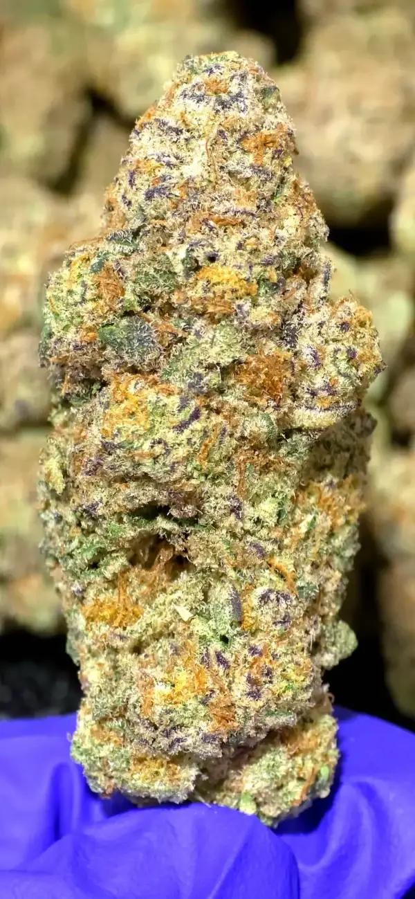 Cherry Bomb PR