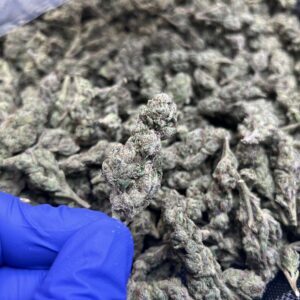 El Chivo THCa Flower Indica