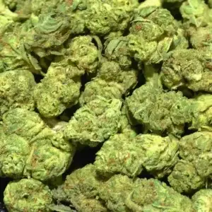 Gelonade Smalls THCa Flower Sativa