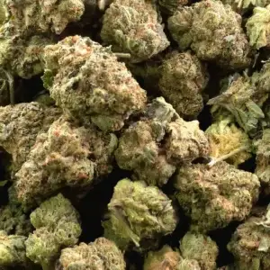 Motor City Gas Smalls