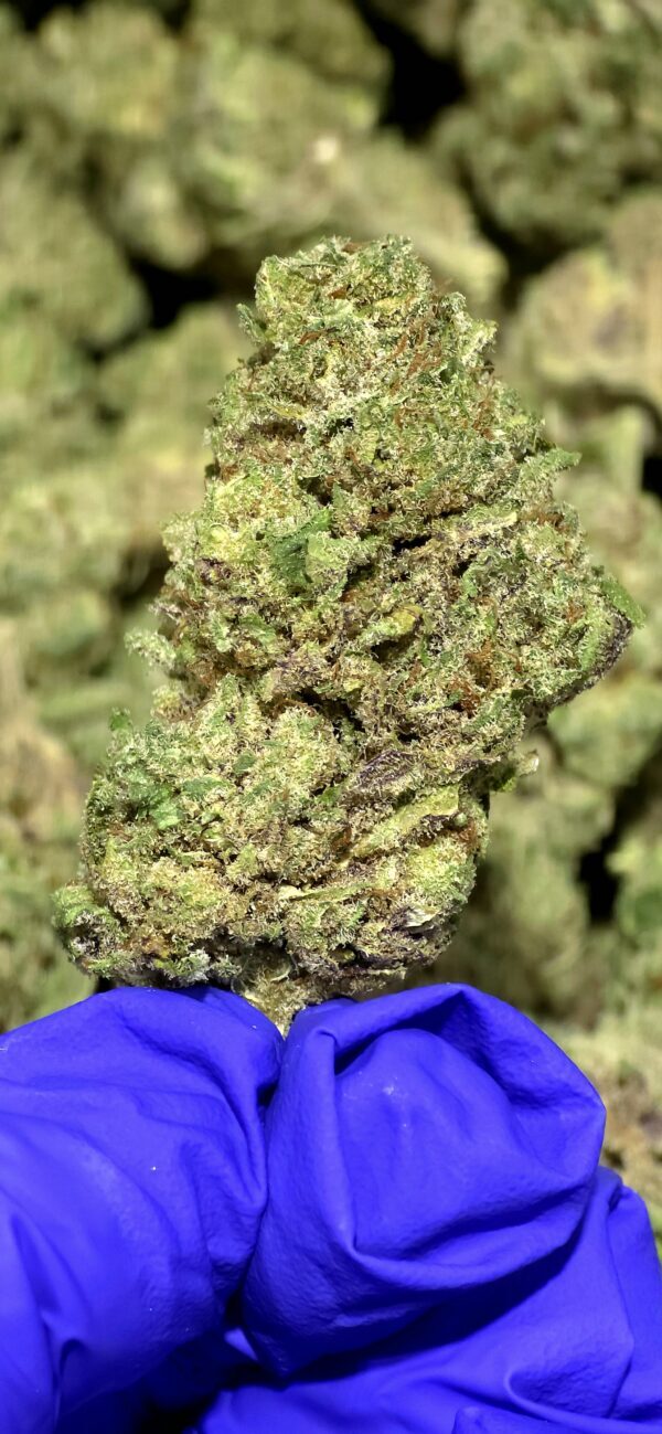 Prohibition OG THCa Flower Indica