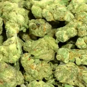 Runtz x Jealousy — Hybrid Strain — THCa Flower — 26.20% — Smalls - Image 2
