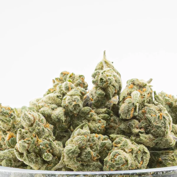 Runtz x Jealousy Smalls THCa Flower Hybrid