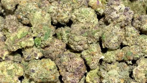 Sex Panther Smalls THCa Flower Indica