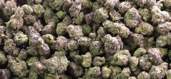 LSD Flower Smalls THCa Flower Sativa