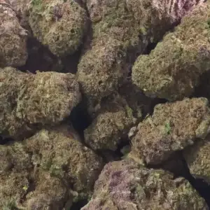 Rose — Indica Strain — THCa Flower — 31.86% — Exotic Indoor - Image 1