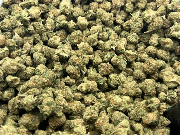 Florida Sunset - Sativa Strain - THCa Smalls - 30.05% - Exotic Indoor