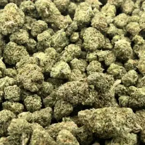 Jungle Pie THCa Flower Hybrid