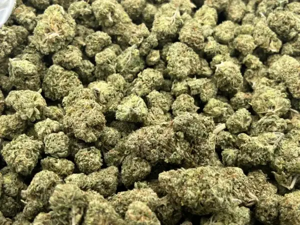 Jungle Pie THCa Flower Hybrid