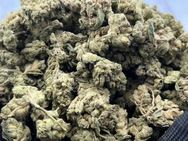 LA Kush Cakes THCa Flower Indica