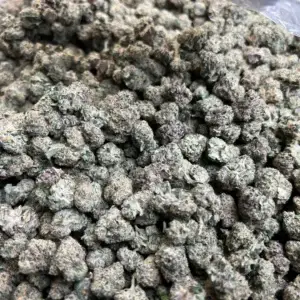 Lift Ticket THCa Flower Hybrid