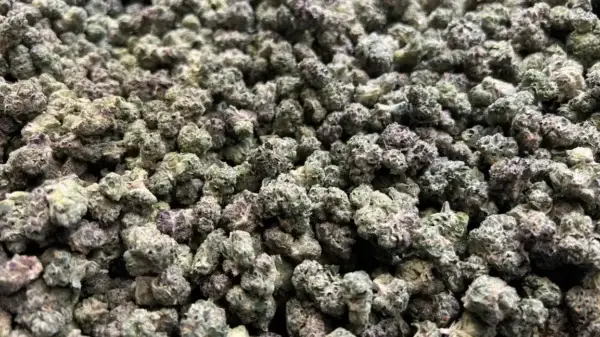 Jilly Bean Smalls THCa Flower Sativa