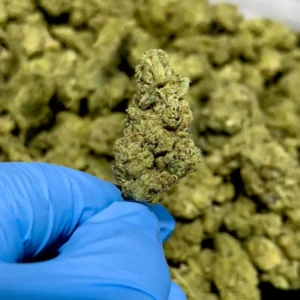 GG #4 THCa Flower Indica
