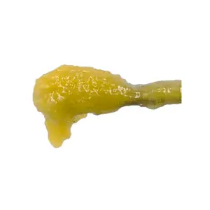 Animal Mintz - THCa Dabs - Hybrid Strain - Live Resin Badder - 95.34%