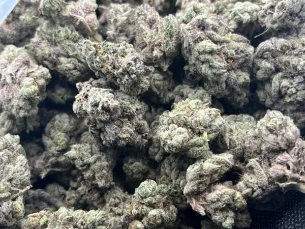 Halle Berry Runtz - THCa Flower - Hybrid Strain - 33.46% - Private Reserve