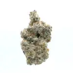 Lechron James — Hybrid Strain — THCa Flower — 35.85% — Caviar Grade