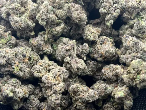 Pre-64 Runtz – Indica Strain – THCa Flower – 35.84% – Caviar Grade