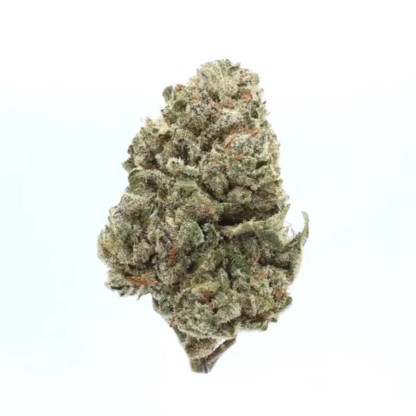 Prohibition Kush THCa Flower Indica