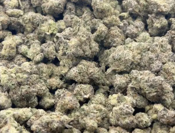 Prohibition Runtz – Indica Strain – THCa Flower – 37.95% – Private Reserve BULK
