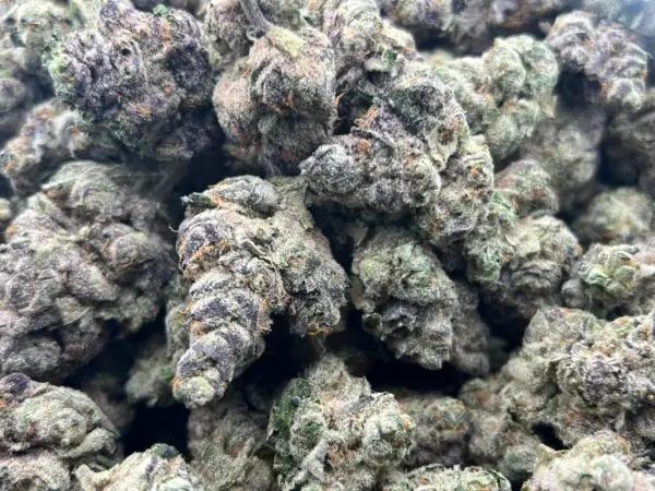 Tropical Bubbles – Hybrid Strain – THCa Flower – 37.88% – Private Reserve